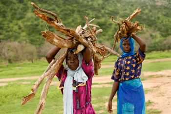 Two girls each carrying bundles of branches on their heads