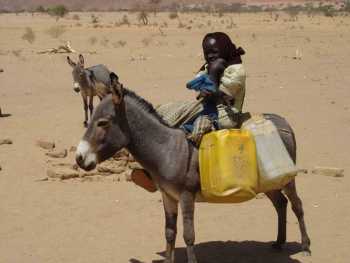 A woman on a donkey, holding a child